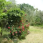 Giovanna 's House Camping Palazzone